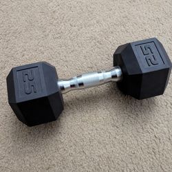 Rubber Hex Dumbbell 25 Lbs