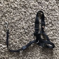 Various Pet Supplies (Can Be Sold Separately)