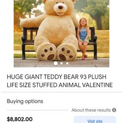 Teddy Bear 93 Feet Need To Go Good In Or Business Come Buy