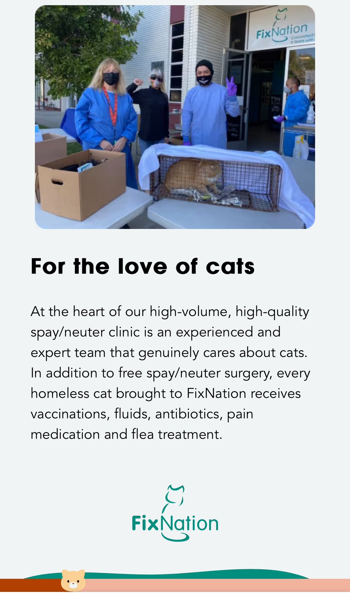 Free Spay/Neuter For 2 Cats