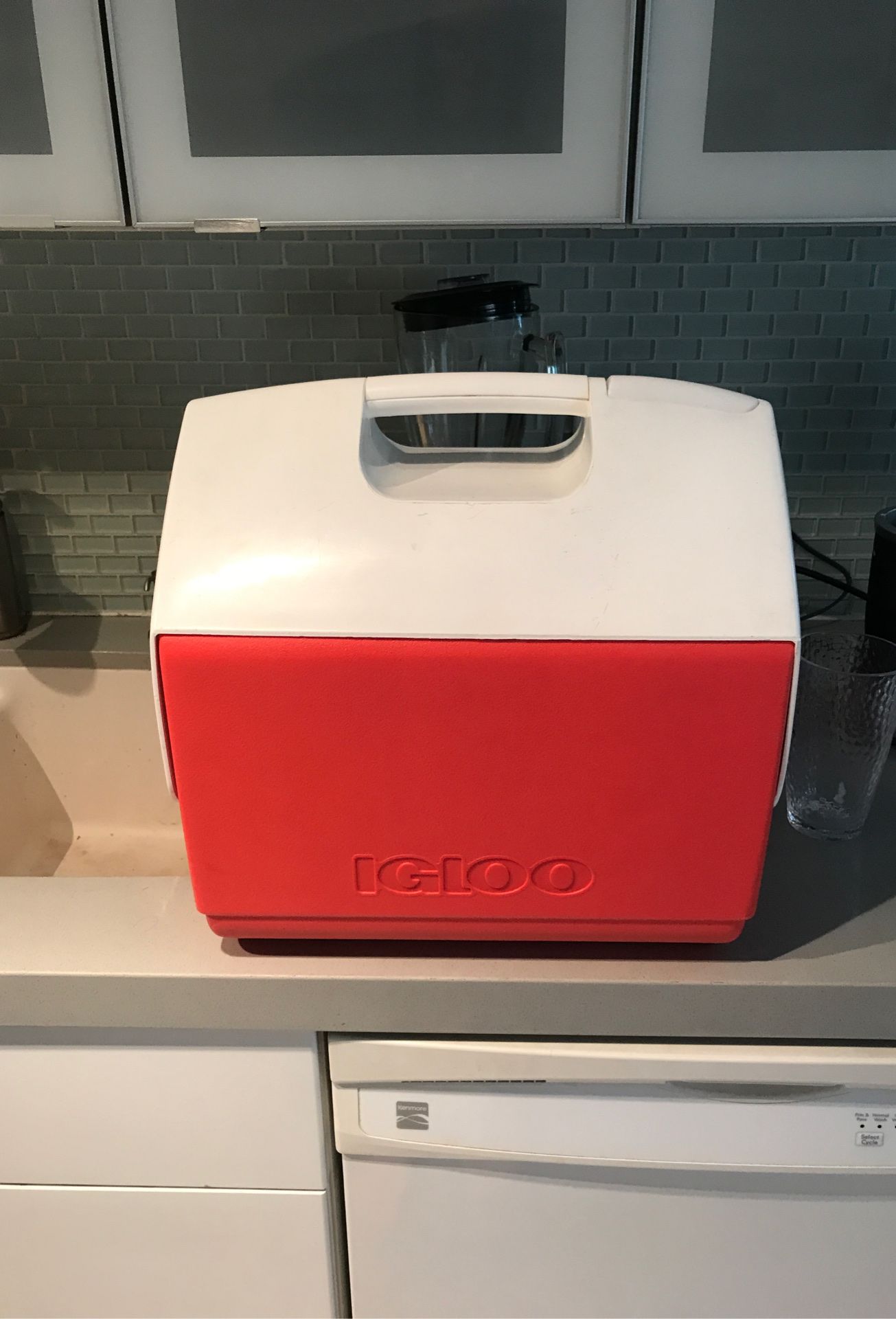 Igloo cooler