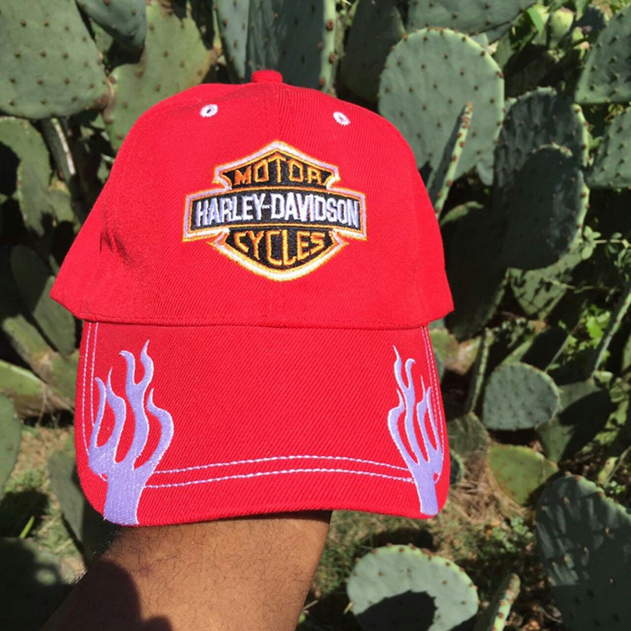 FLAME HARLEY DAVIDSON CAP