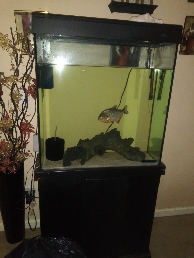 50 gallon fish tank