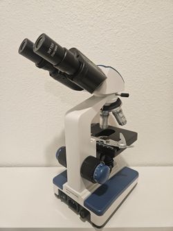 Compound Microscope