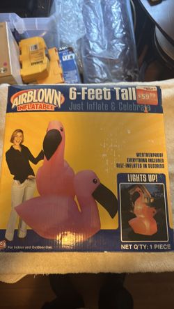 6 foot blowup with light