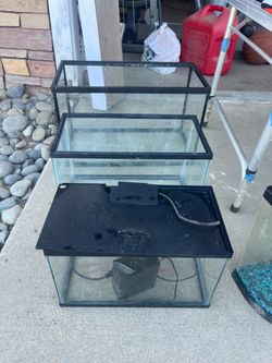 Fish tanks