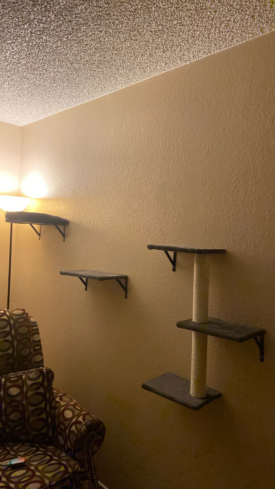 Cat Wall Furniture
