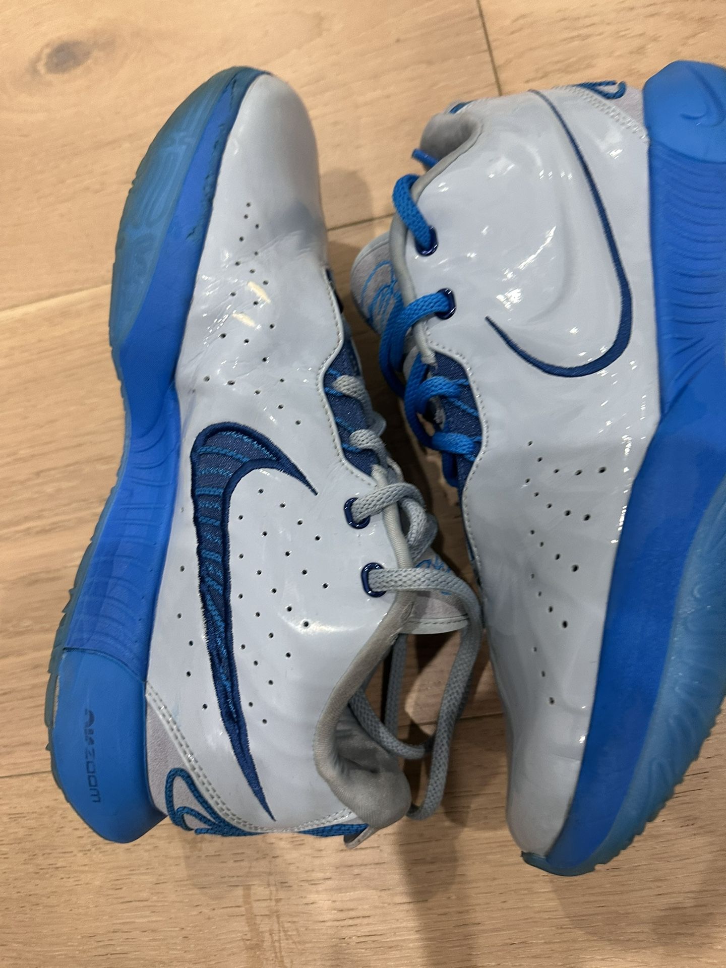 Lebron XI Unreleased Colorway 