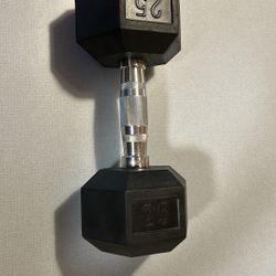 25 Lb Weight