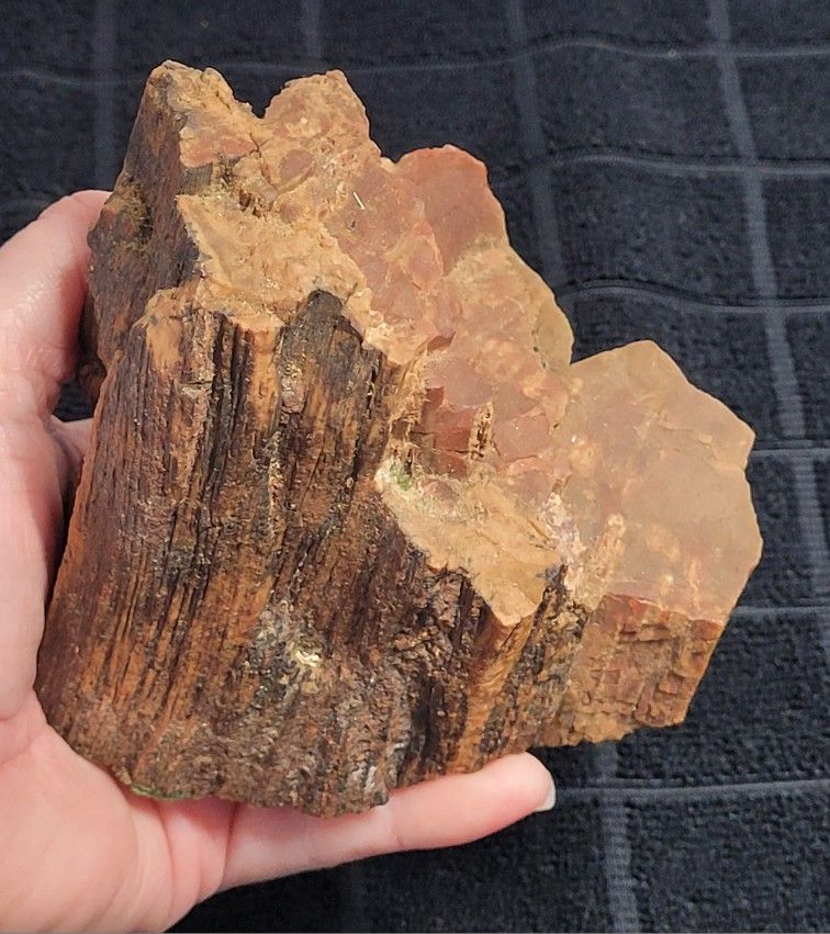 Raw Natural Arizona Petrified Wood 1.11LBS/750Grams/120mm Paperweight Felt Pads See Pics. The image shows a piece of Arizona petrified wood, the fossi