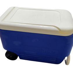 Cooler 38 qt