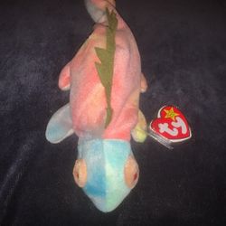 Iggy Beanie Baby Ty D/O/B 8/12/1997