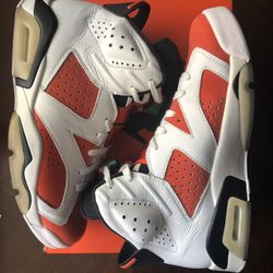 Jordan Retro 6 Gatorade