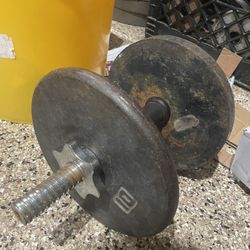 Dumbbells With Weights
