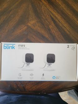 2 Cameras blink Mini