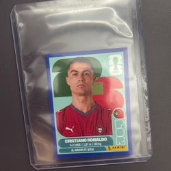 2026 Panini World Cup Stickers 