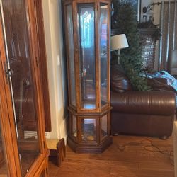 Home Figurine Display Case. 