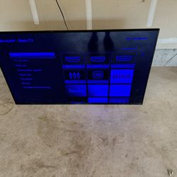 Roku Tv 