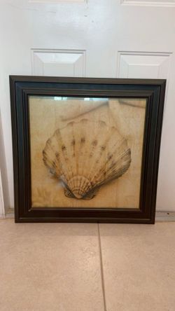 Shell frame