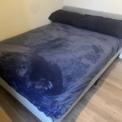 Queen Size Bed frame 