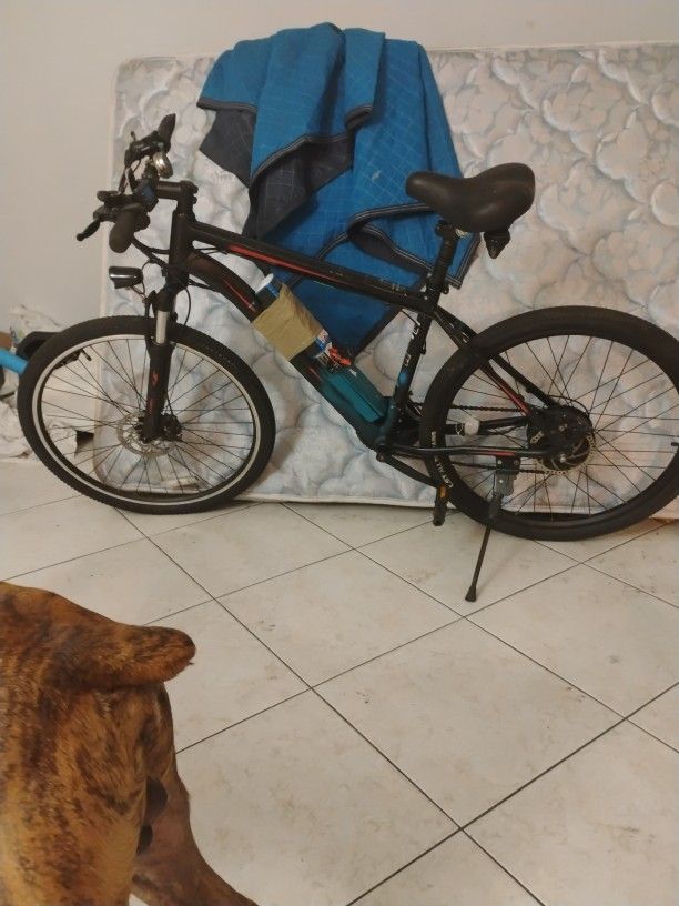 Electric Bicycle