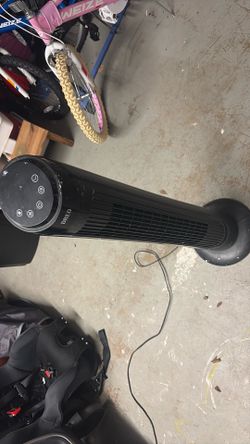 Fan