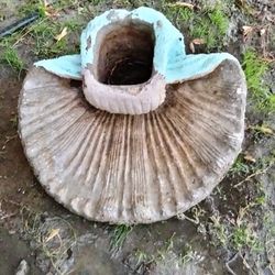 Selling A Water Fountain