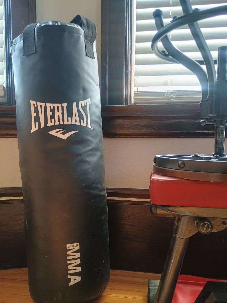 125 lb everlast boxing punching bag in good condition
