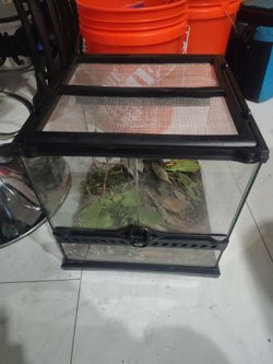Exo terra terrarium