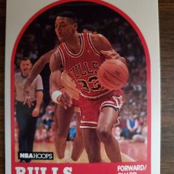 Scottie Pippen 1989 Hoops #244 Card