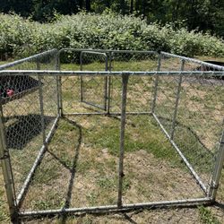 Dog Kennel Run