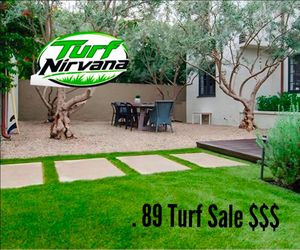 New Turf summer sale $$ .89
