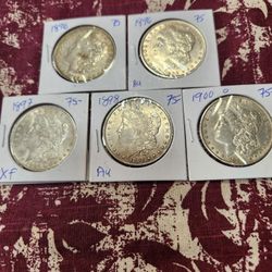 Morgan's Silver Dollars  $75.00  EACH 