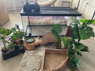 40 gallon reptile tank with accessories