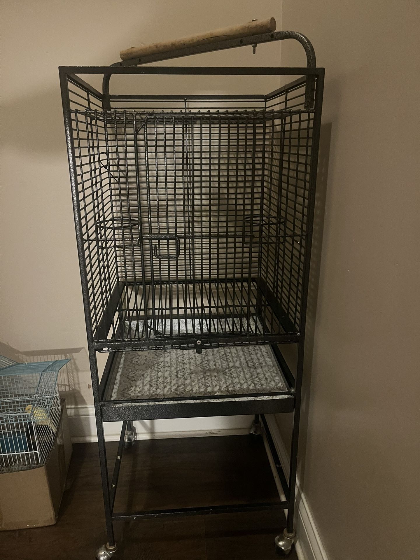 Bird Cage