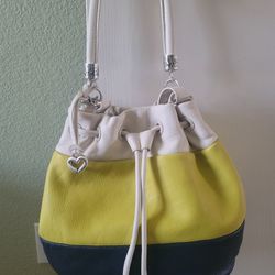 Brighton Limited Edition Brody Hobo Satchel