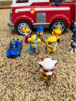 Paw patrol Lot