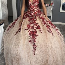 Quinceañera Dress 