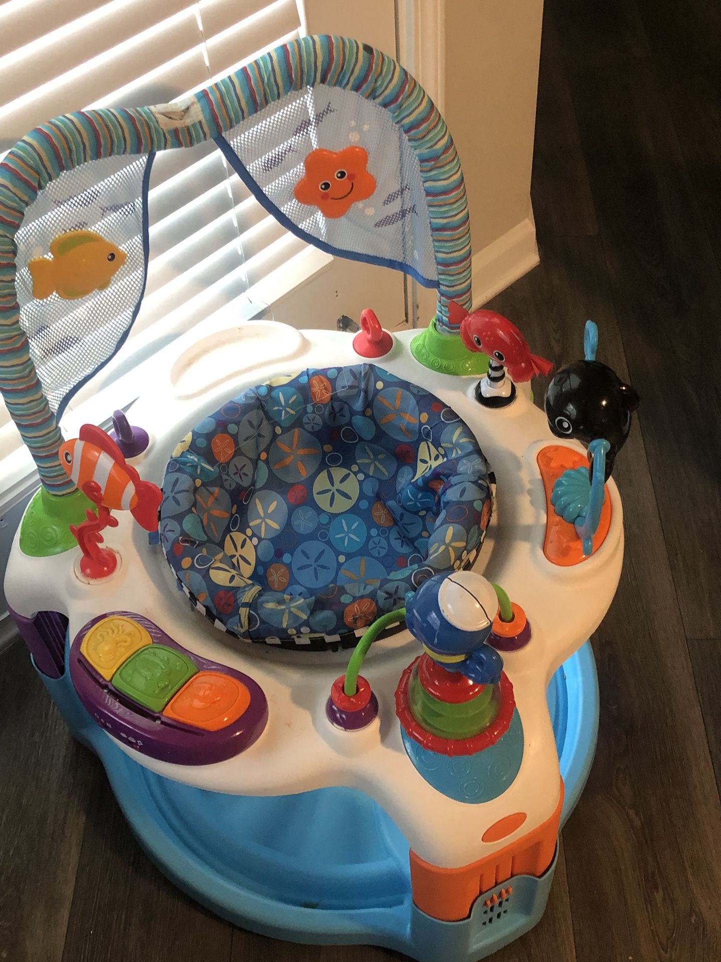 Baby Bouncer