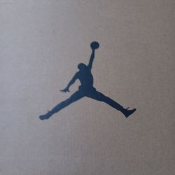 Air Jordan 12 Retro Size 9.5