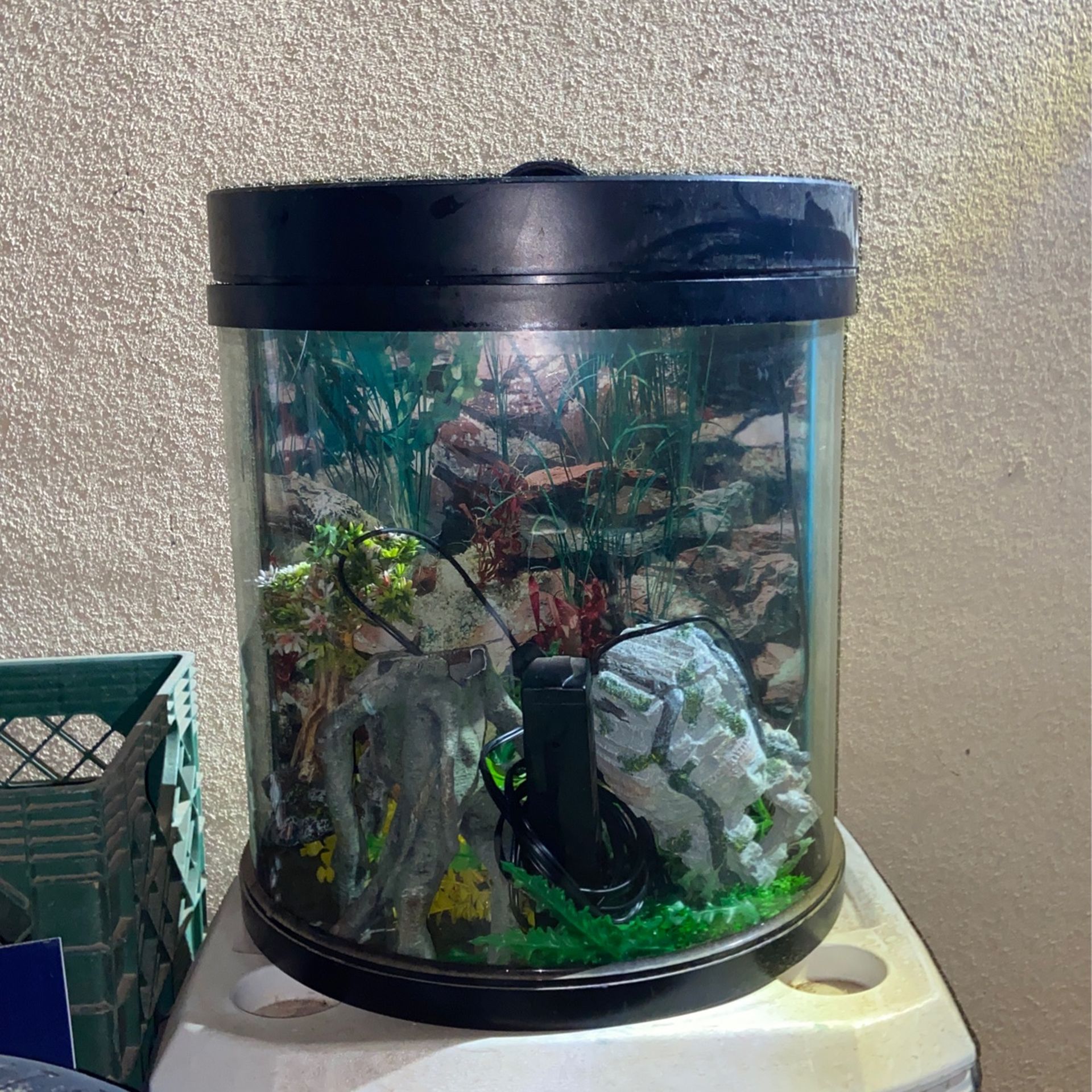 Fish Tank