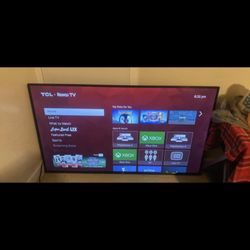 55 Inch Roku Tv 