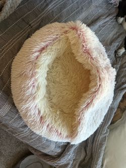 dog/cat bed