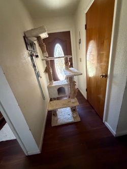Cat Tree