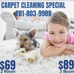 Carpet/ Tile & Grout 