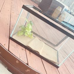 Glass Enclosure 