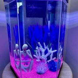 Fish Tank, accessories and miscellaneous. 