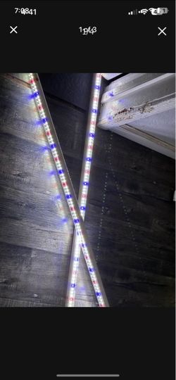 LED Strip Lights Red White Blue grow lights