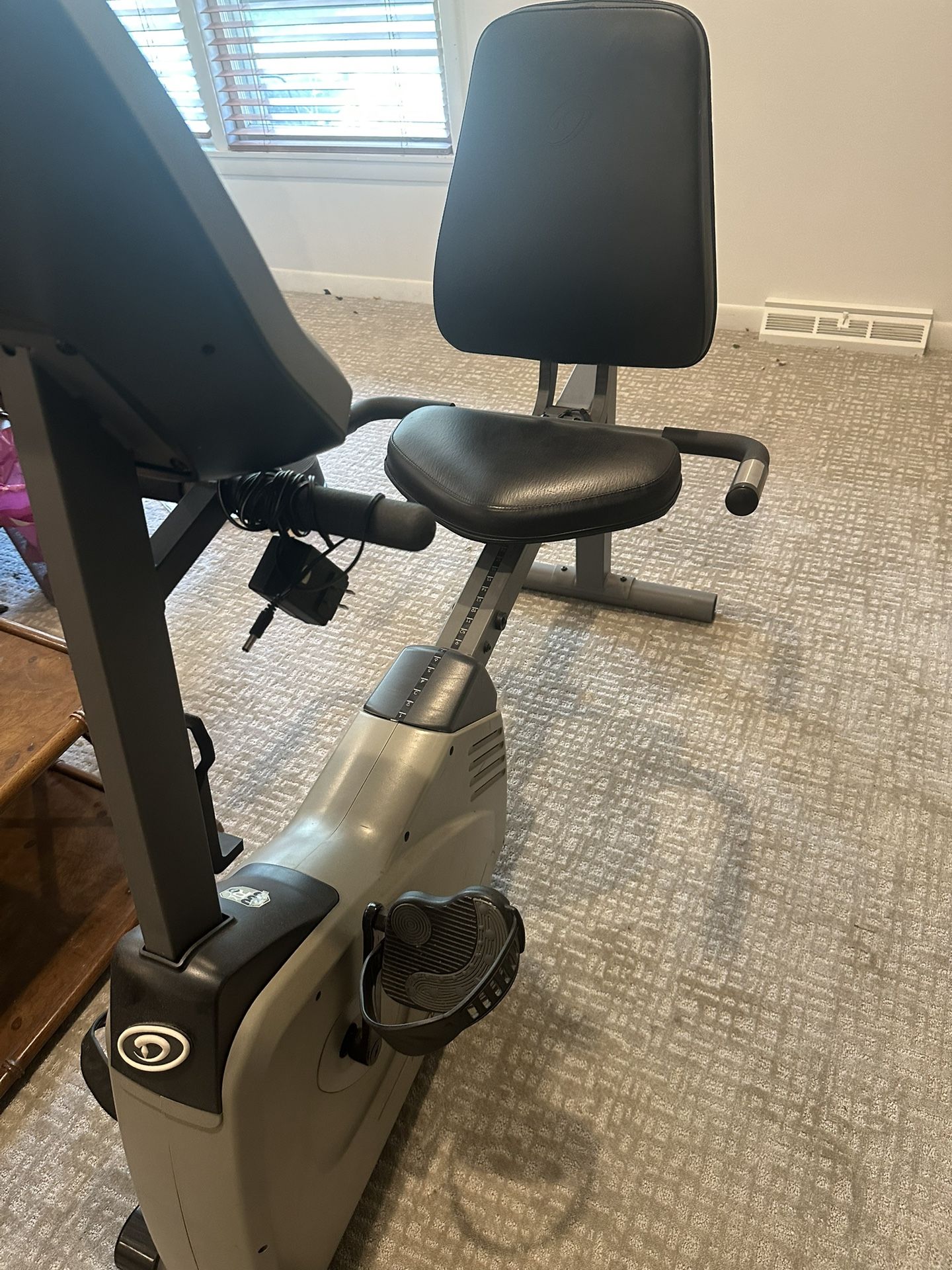 Recumbent Bike