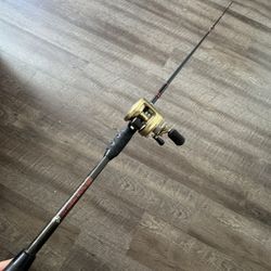 United Composite Shimano Calcutta 200 Te Fishing Combo. 
